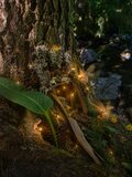 Galerie photo Les Fairy doors 6A-C